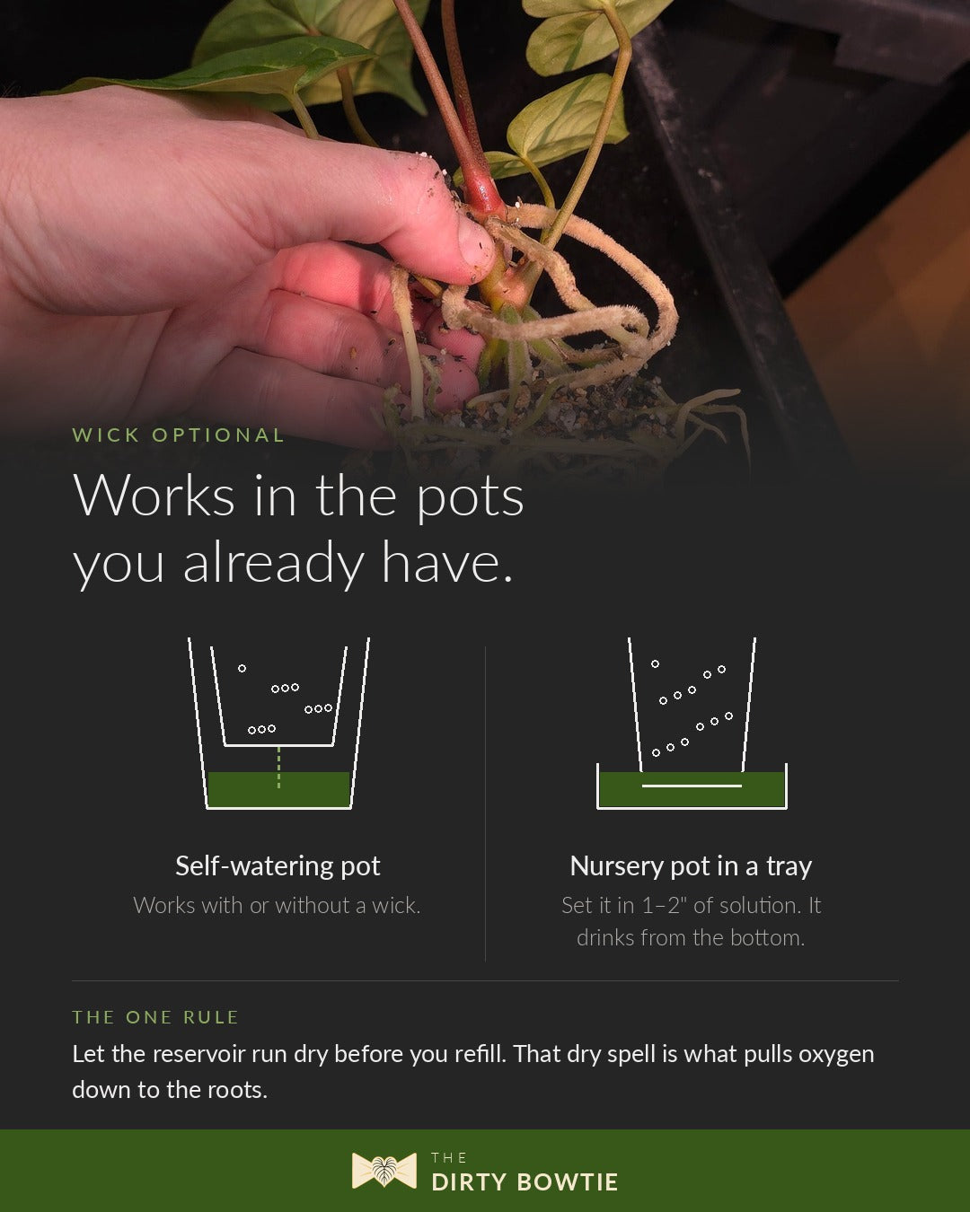 The Dirty Bowtie is wick optional: works in self-watering pots or a nursery pot in a tray