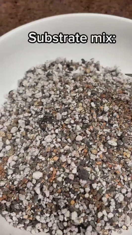 The Dirty Bowtie™ Semi-Hydro Plant Substrate — Pon Alternative (Wick Optional)