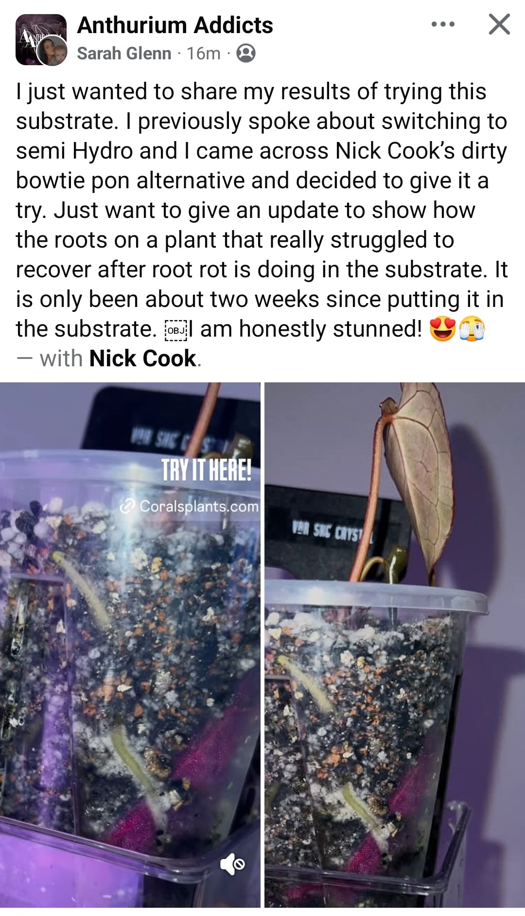 The Dirty Bowtie™ Semi-Hydro Plant Substrate — Pon Alternative (Wick Optional)