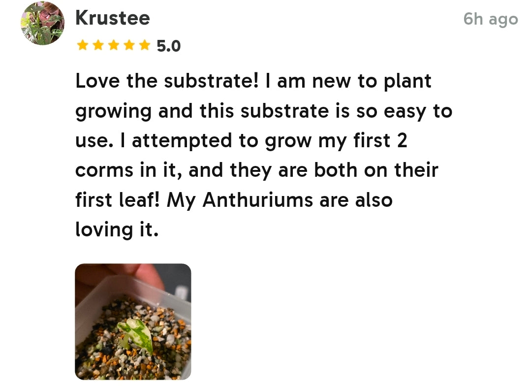 The Dirty Bowtie™ Semi-Hydro Plant Substrate — Pon Alternative (Wick Optional)